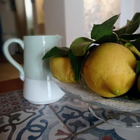 Casa Carlotta Villa Monopoli Eksteriør billede