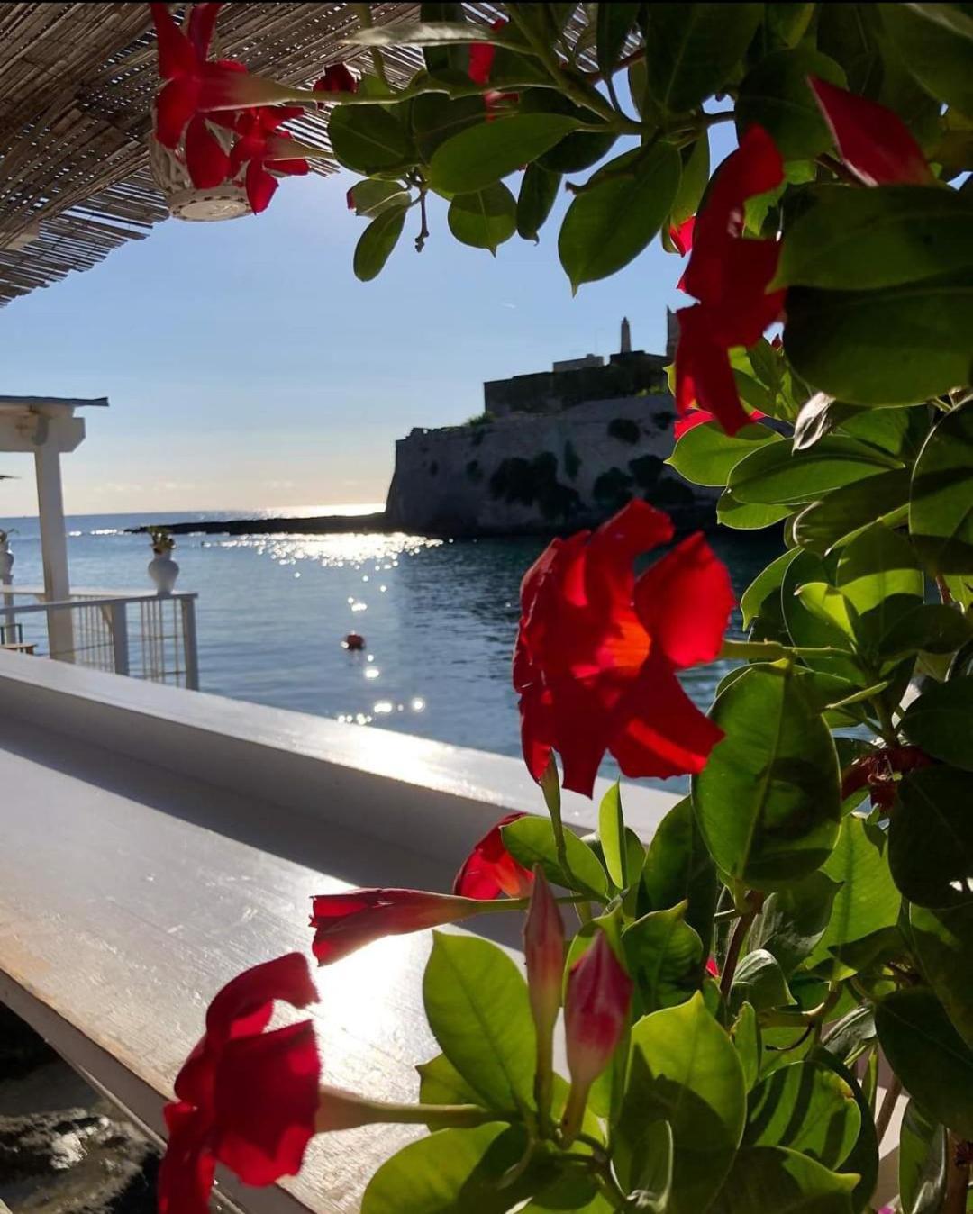 Casa Carlotta Villa Monopoli Eksteriør billede